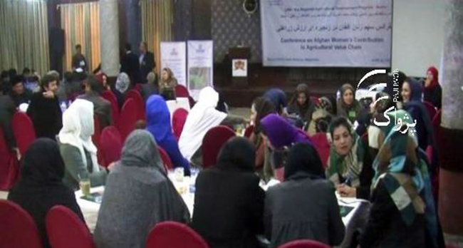 Baghlan Women Say Deprived of Govt. Jobs